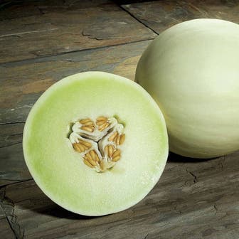 Snow Mass Melon Honeydew Seeds