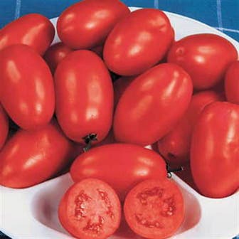Organic Roma Tomato Seeds