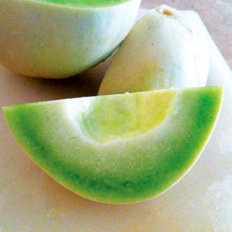 Dulce Nectar Melon Honeydew Seeds