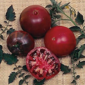 Black Krim Tomato Seeds - Organic 
