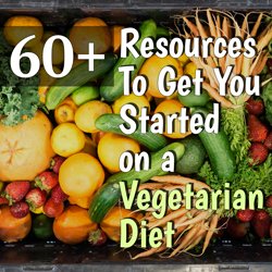 60+ resources to get you started on a vegetarian diet #vegetarian #vegan | hurrythefoodup.com