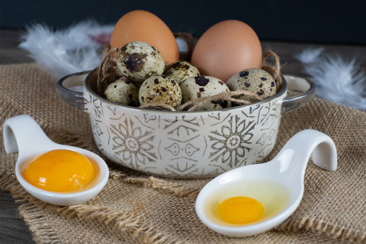 The bowl with chicken and quail eggs is on the sackcloth | Hurry The Food Up