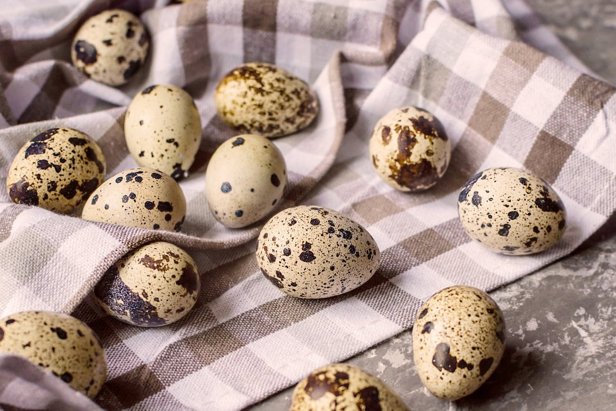 Some quail eggs are on the checkered cloth | Hurry The Food Up