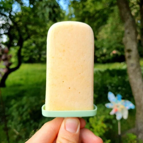 Peach popsicle in a hand