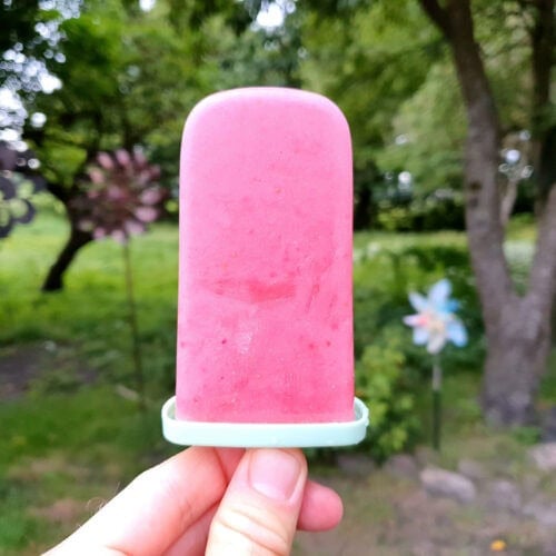 Strawberry popsicle in a hand